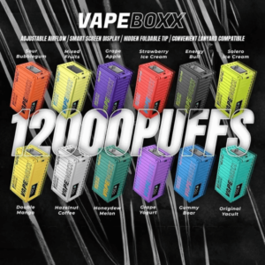 Vapeboxx 12000 Puffs Disposable