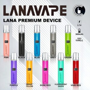 431338084 18082735939437308 743381013307304026 N